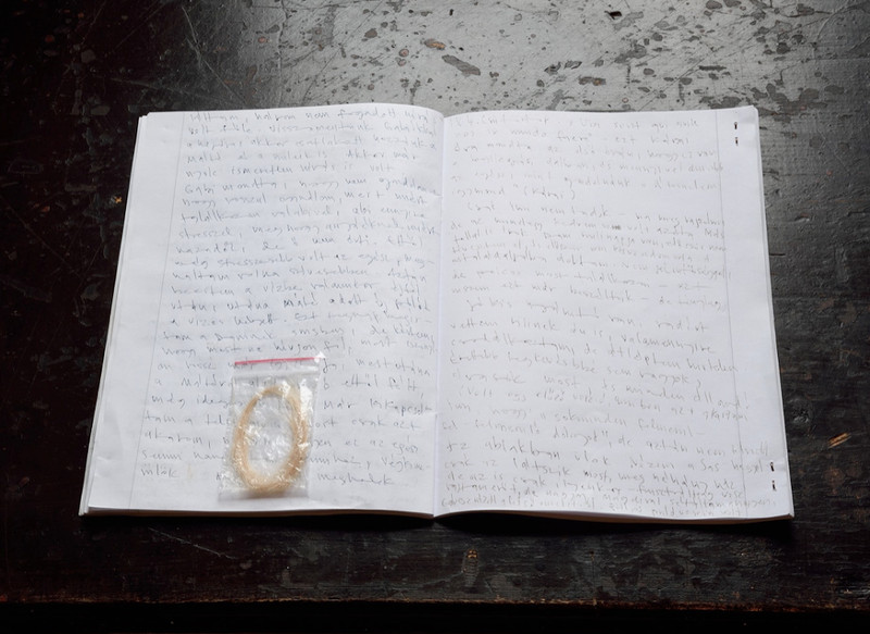 Pályi Márk: A 15 éves Luca balatoni naplója, 2015, toll, papír, 