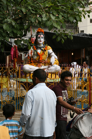 IMG 7931