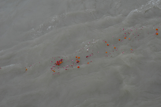 Rishikesh