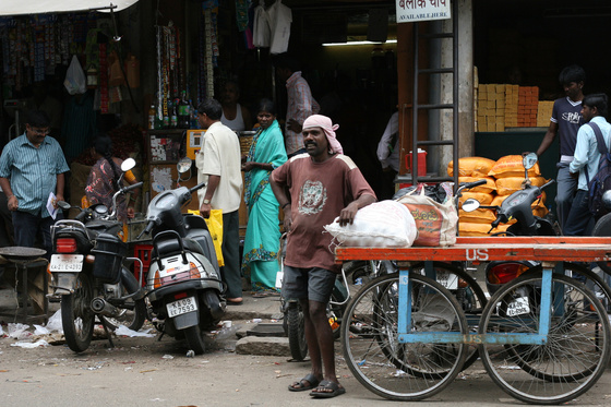 Mysore
