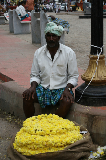 Mysore
