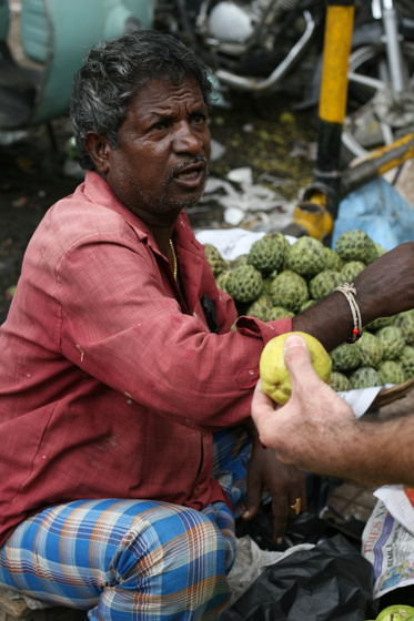 Mysore