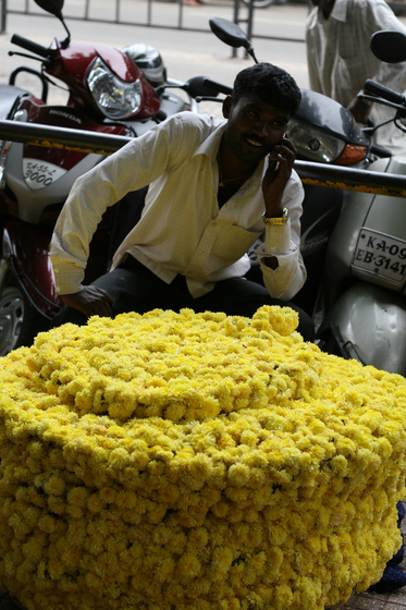 Mysore