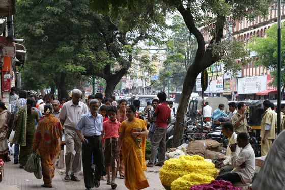 Mysore