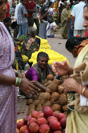 Mysore