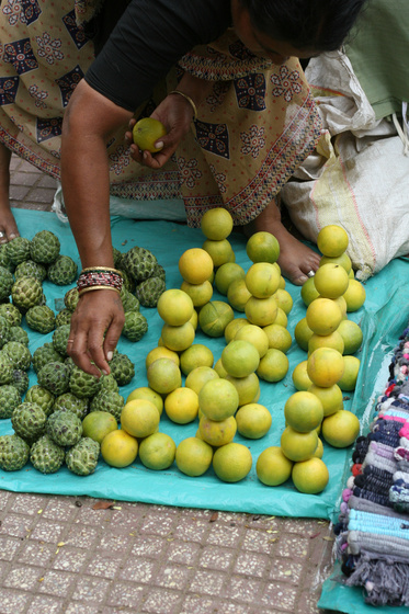 Mysore