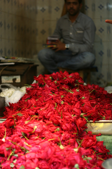 Mysore