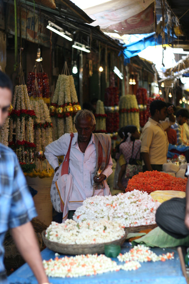 Mysore