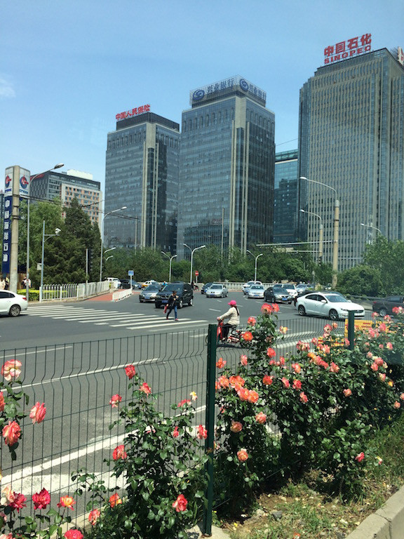 IMG 0774