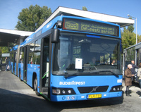 800-as busz: FLR-731 - indafoto.hu