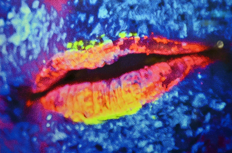 DSC 0247