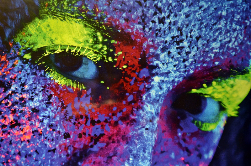 DSC 0253
