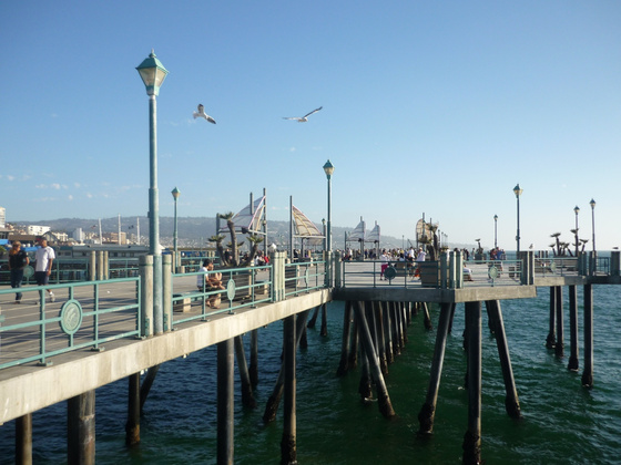 Redondopier