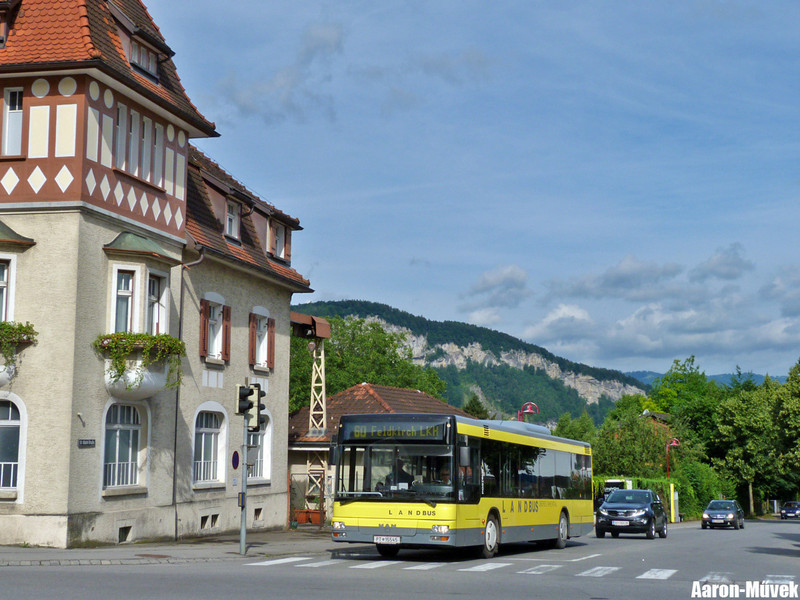 Vorarlberg II (4)