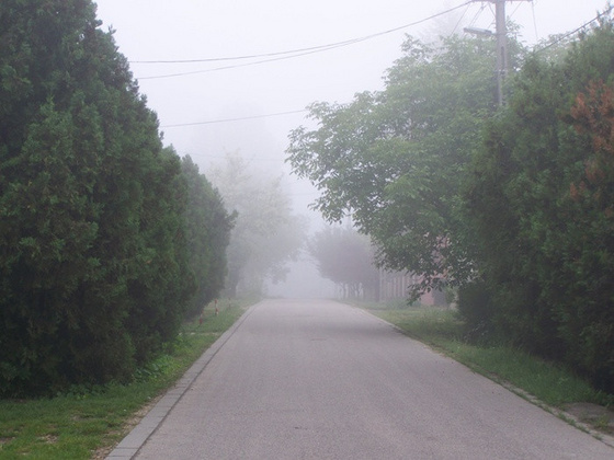 Mandika: köd 1