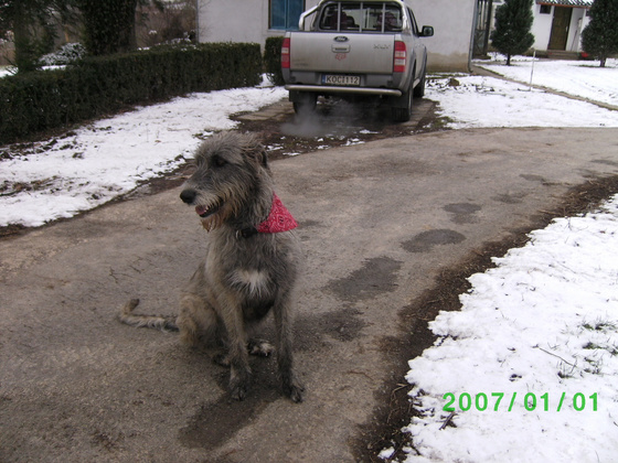 Posted Image