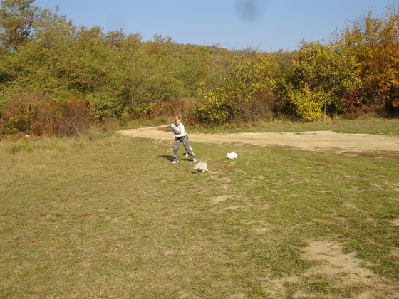 13682899_3ea12fff21c2f2ba5cf06f176a505b24_m.jpg