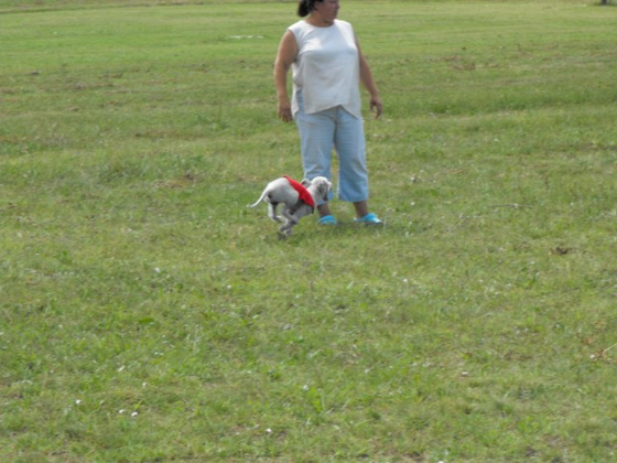 5174063_c84fac96a960482ec557a0105effeb41_m.jpg