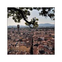 Pingu: Panorama di Lucca