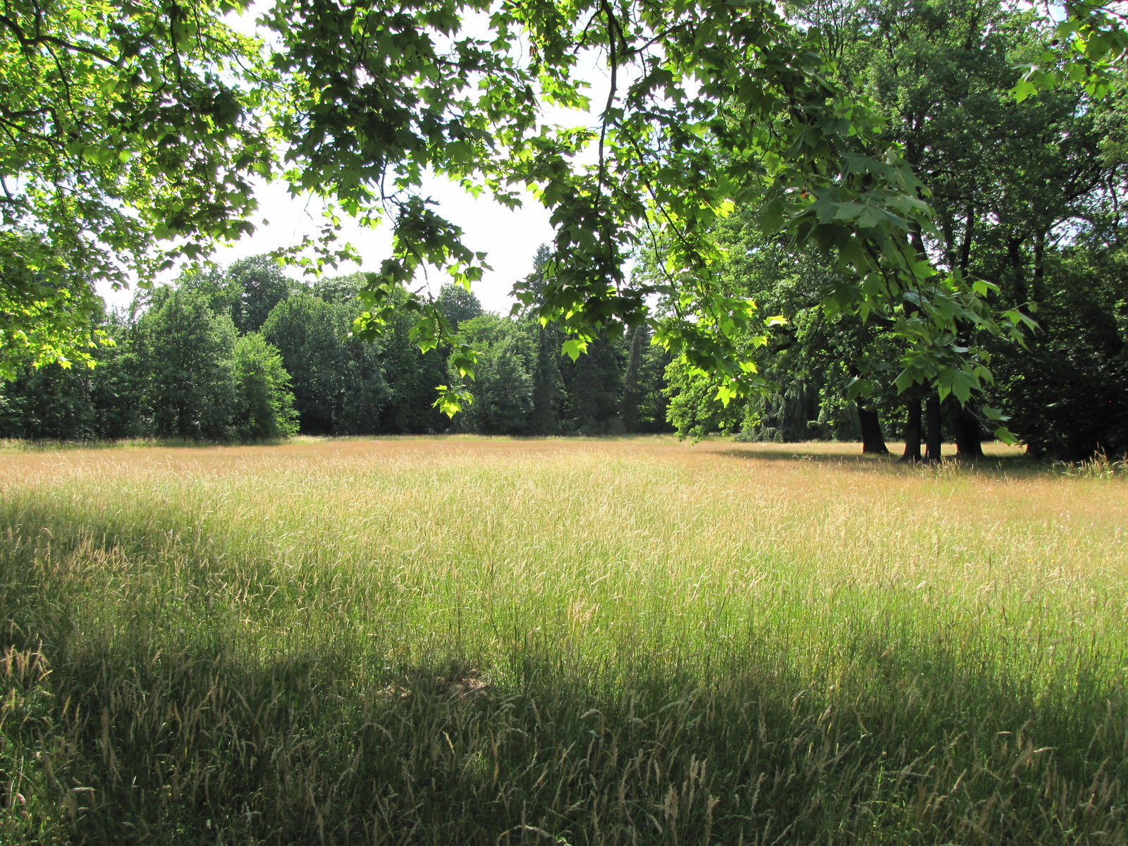 Potsdam, Neuer Garten - Cecilienhof, a park, SzG3