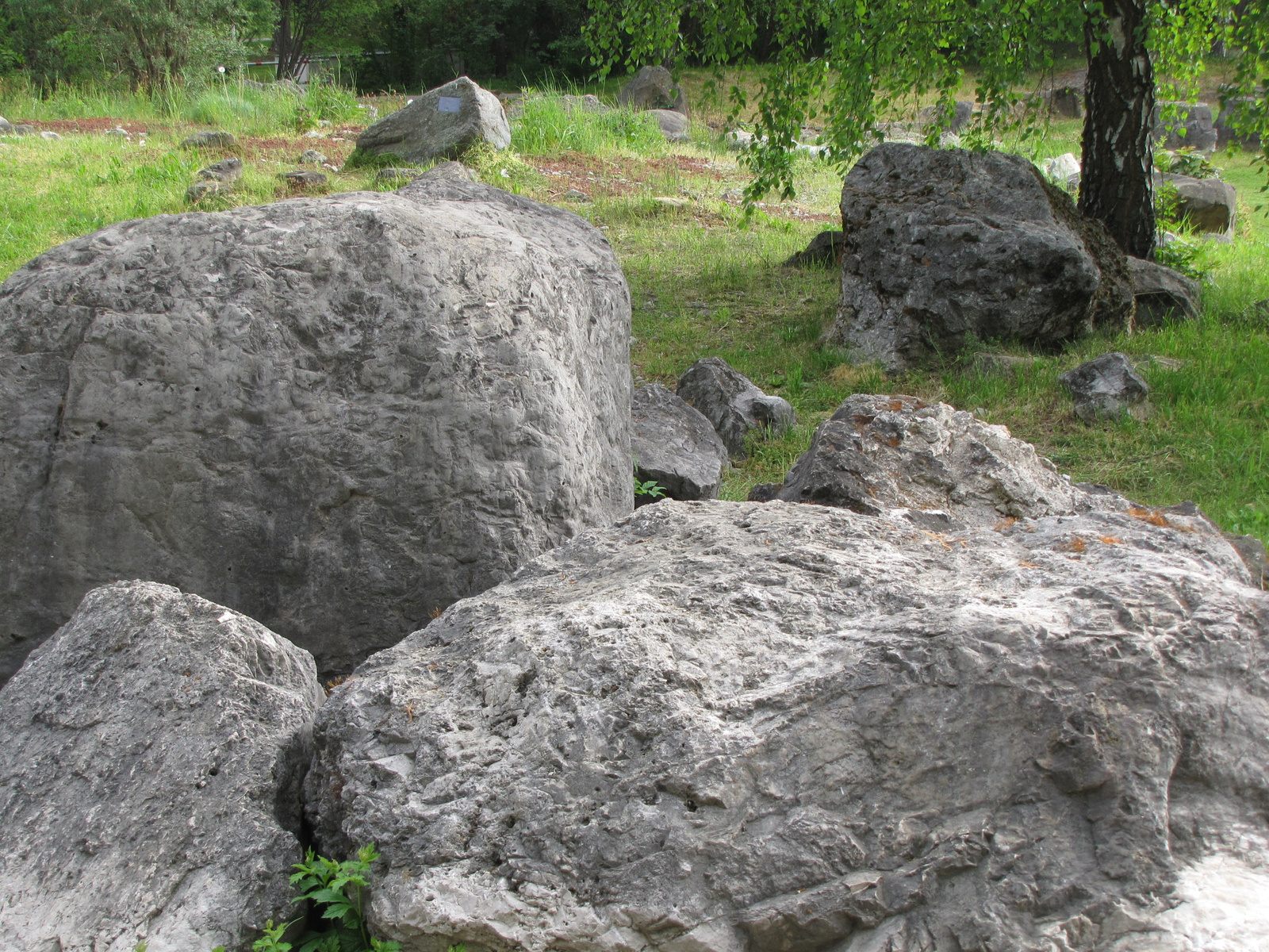 München, Geologiegarten Denninger Anger, SzG3