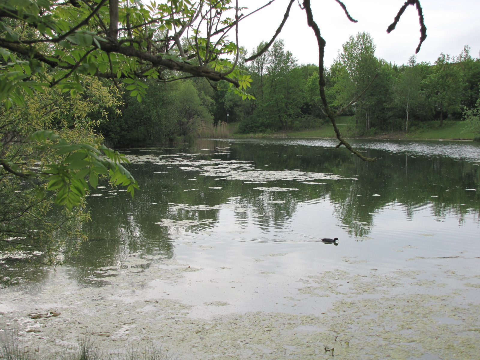 München, Zamilapark, SzG3