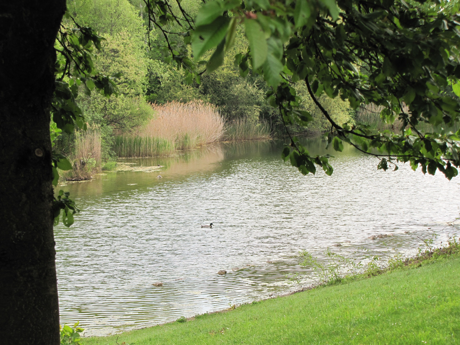 München, Zamilapark, SzG3