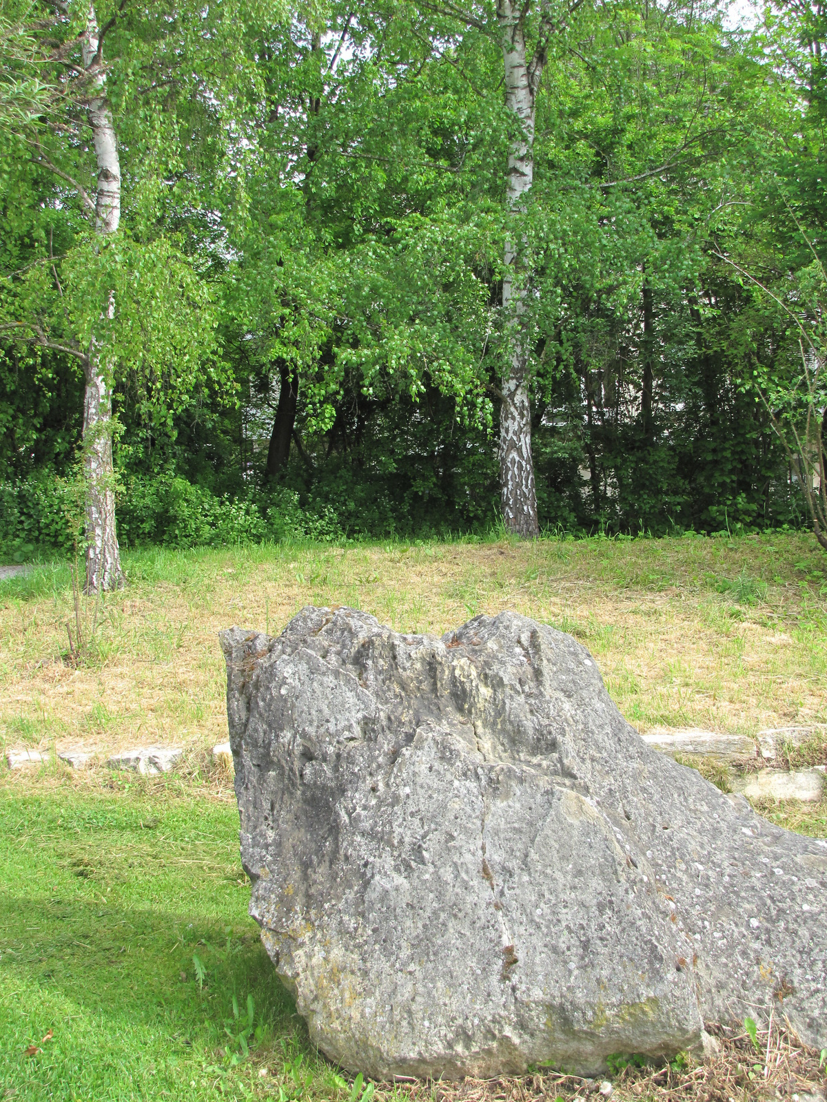 München, Geologiegarten Denninger Anger, SzG3