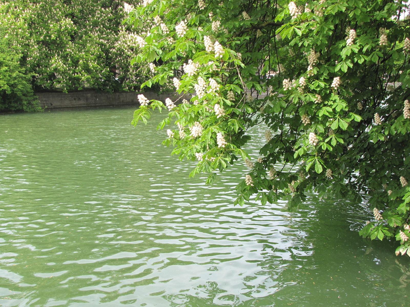 München, az Isar folyó, SzG3