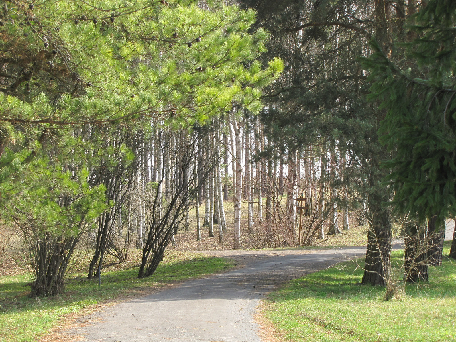 Zólyom, Borová Hora, arborétum, SzG3