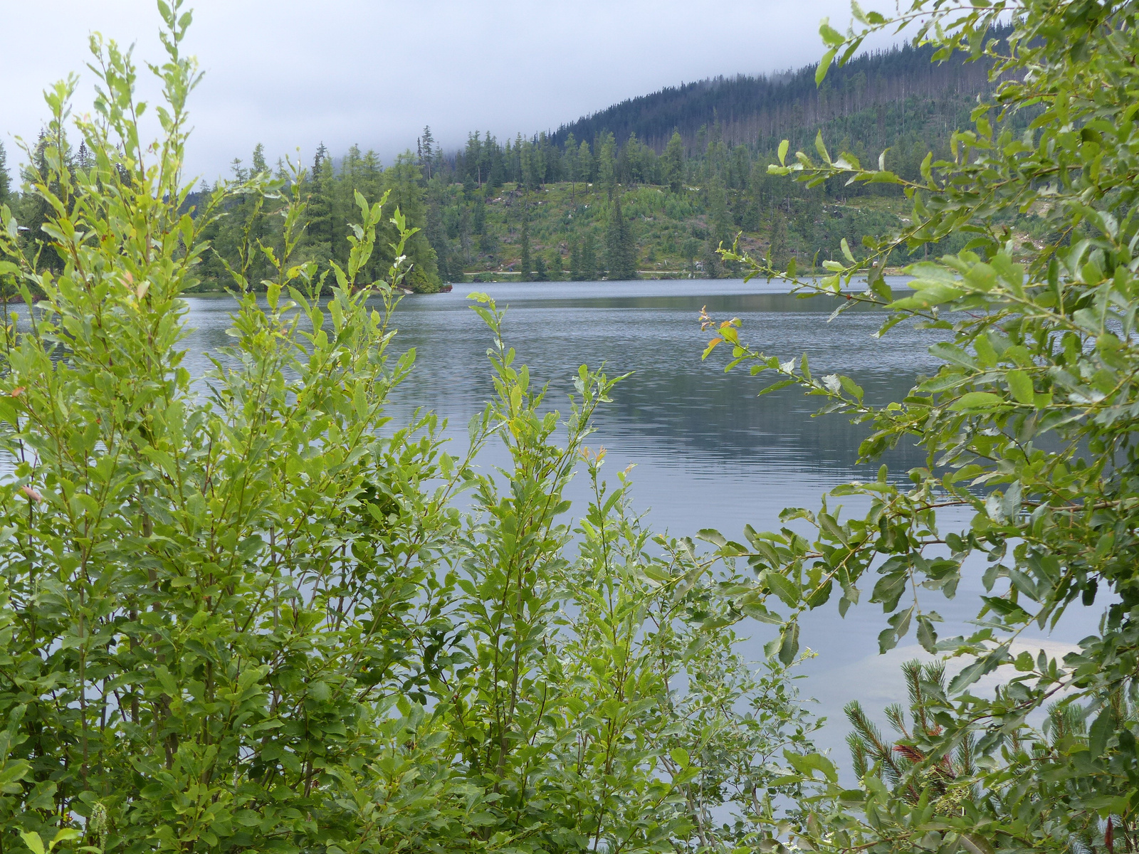 Csorbató (Štrbské Pleso), Csorba-tó (Štrbské pleso), SzG3