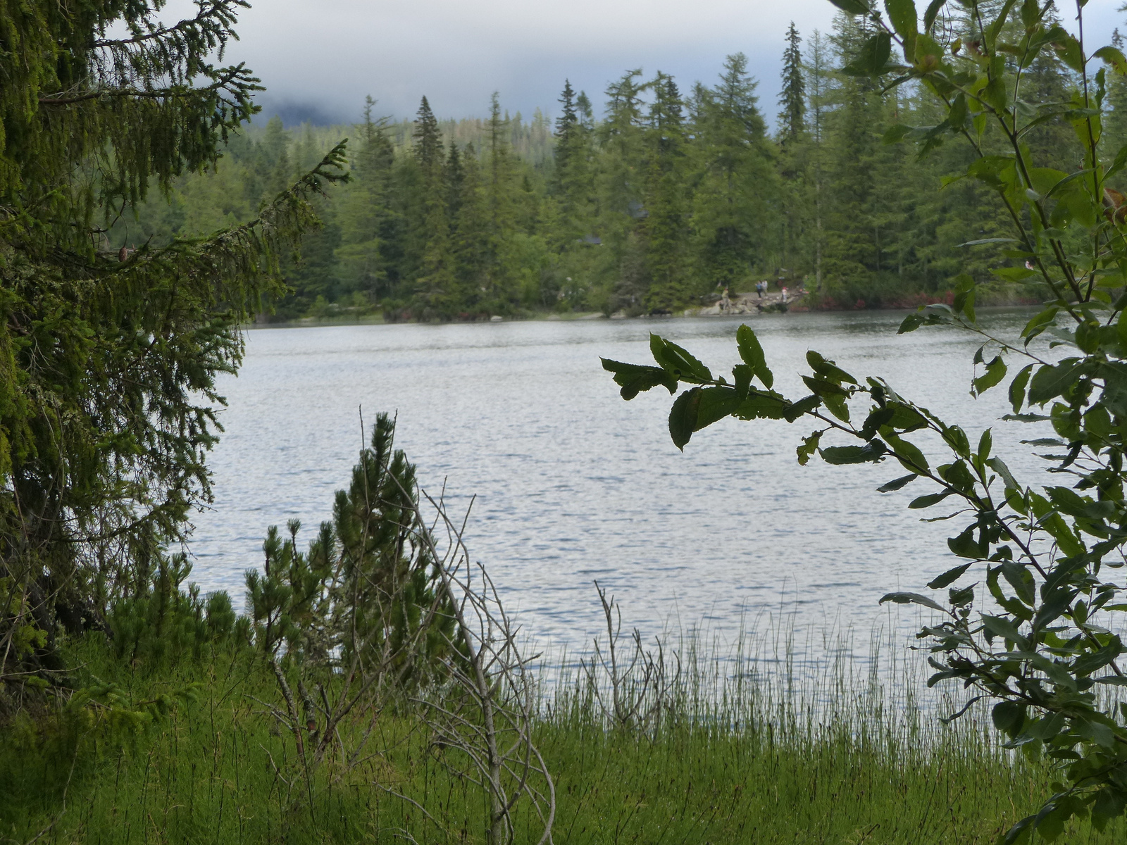 Csorbató (Štrbské Pleso), Csorba-tó (Štrbské pleso), SzG3