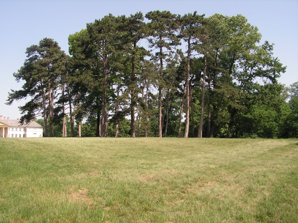 Dég, a Festetics kastély és parkja, SzG3