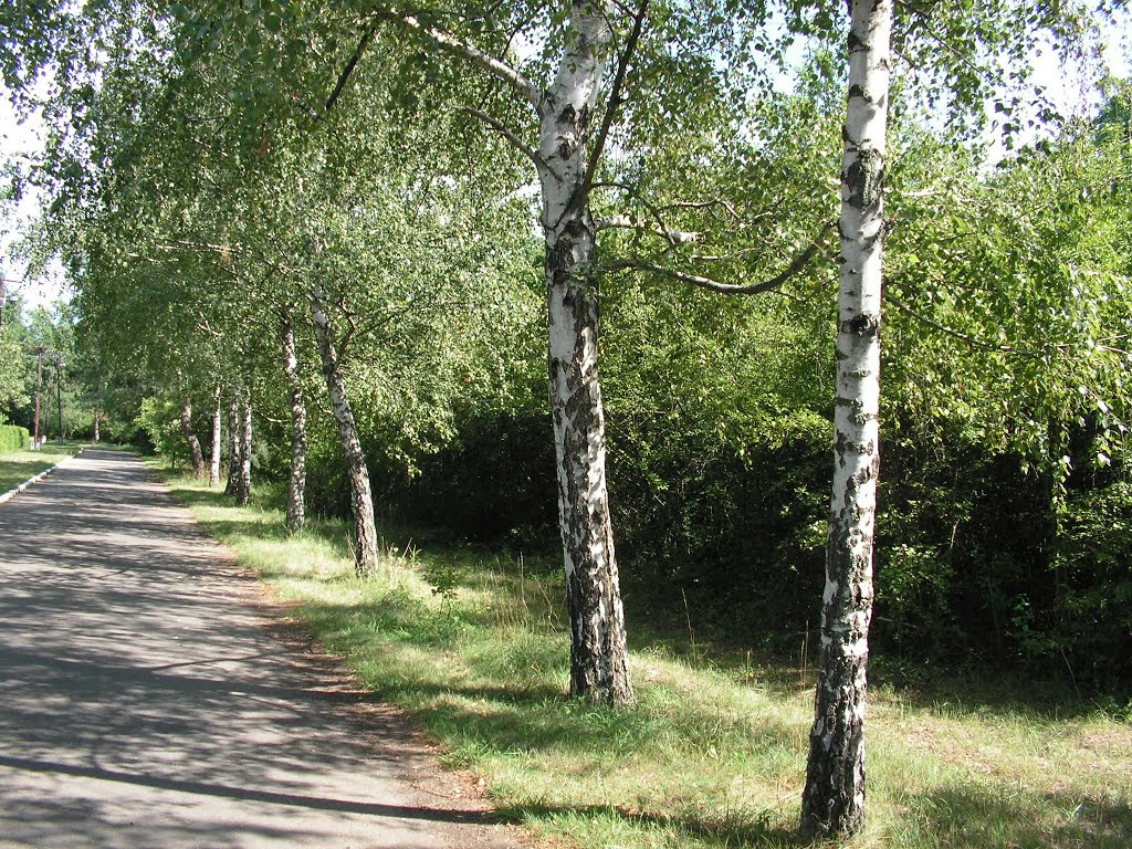 Gyömrő, a Teleki kastély bejárata, SzG3