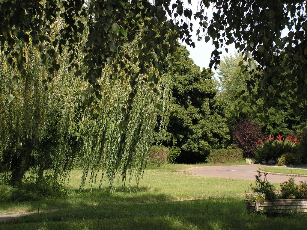 Gyömrő, a Teleki kastély parkja, SzG3