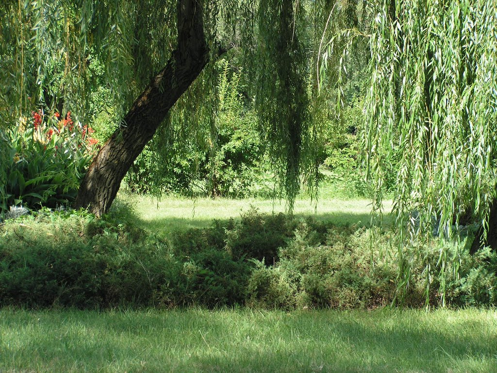 Gyömrő, a Teleki kastély parkja, SzG3