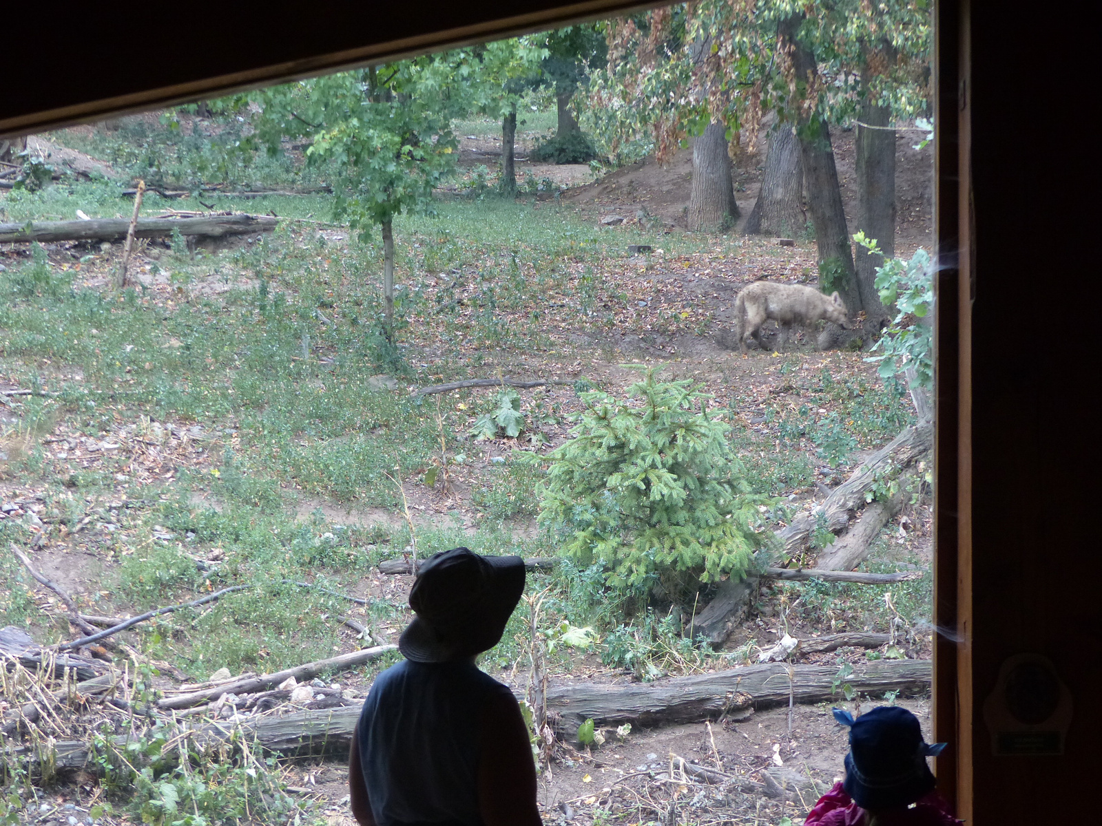 Brno, Zoo (Brünn, Állatkert), SzG3