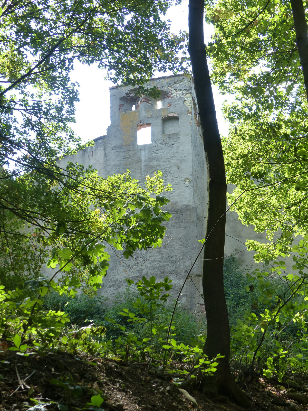 Boskovice, Hrad Boskovice, SzG3