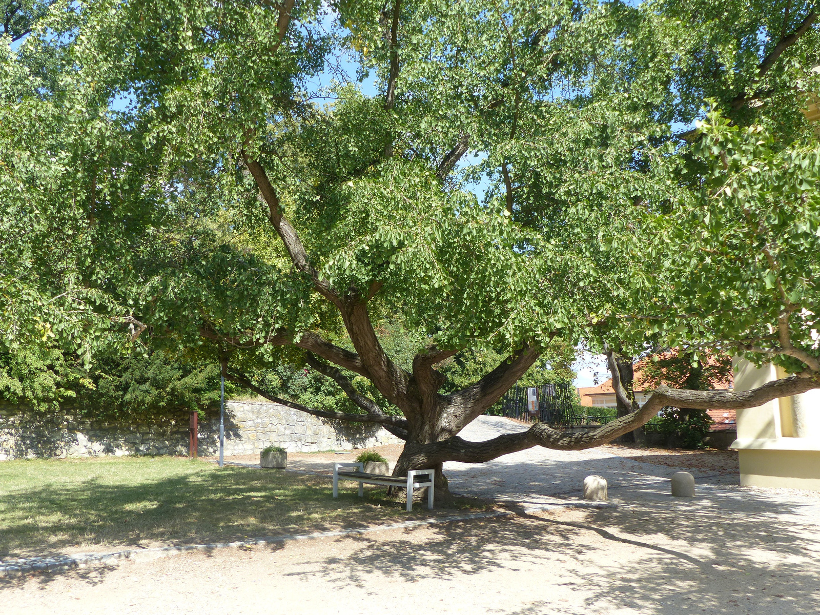 Boskovice, Zámecký skleník, SzG3