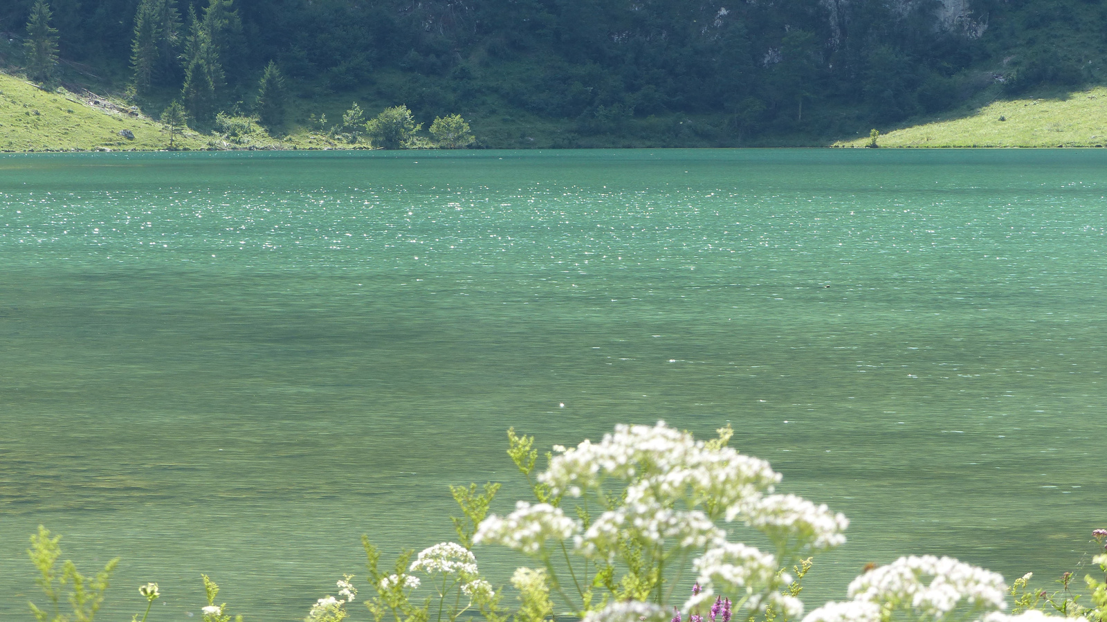 Schönau am Königssee, SzG3