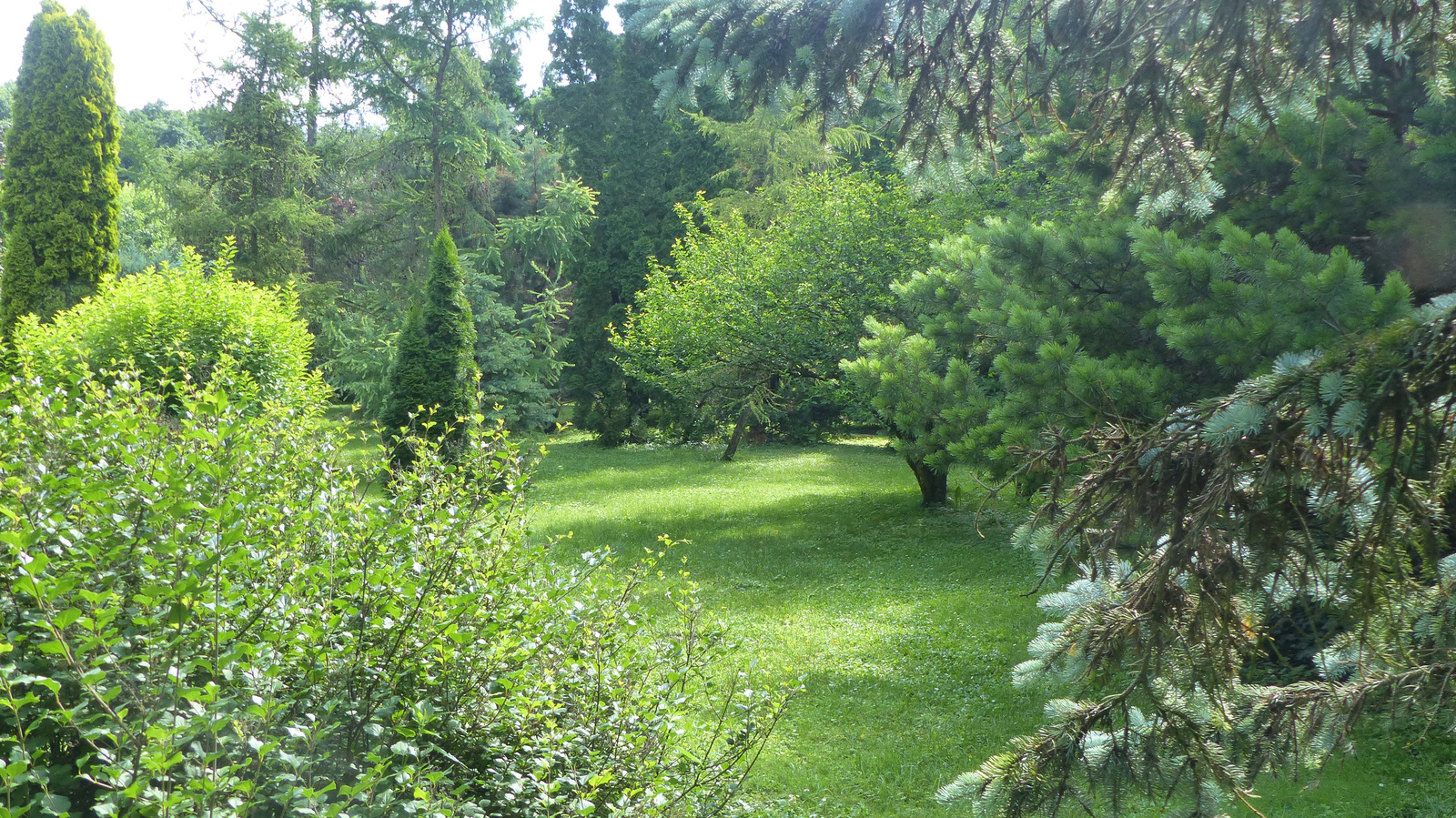 Erdőtelek, Arborétum, SzG3