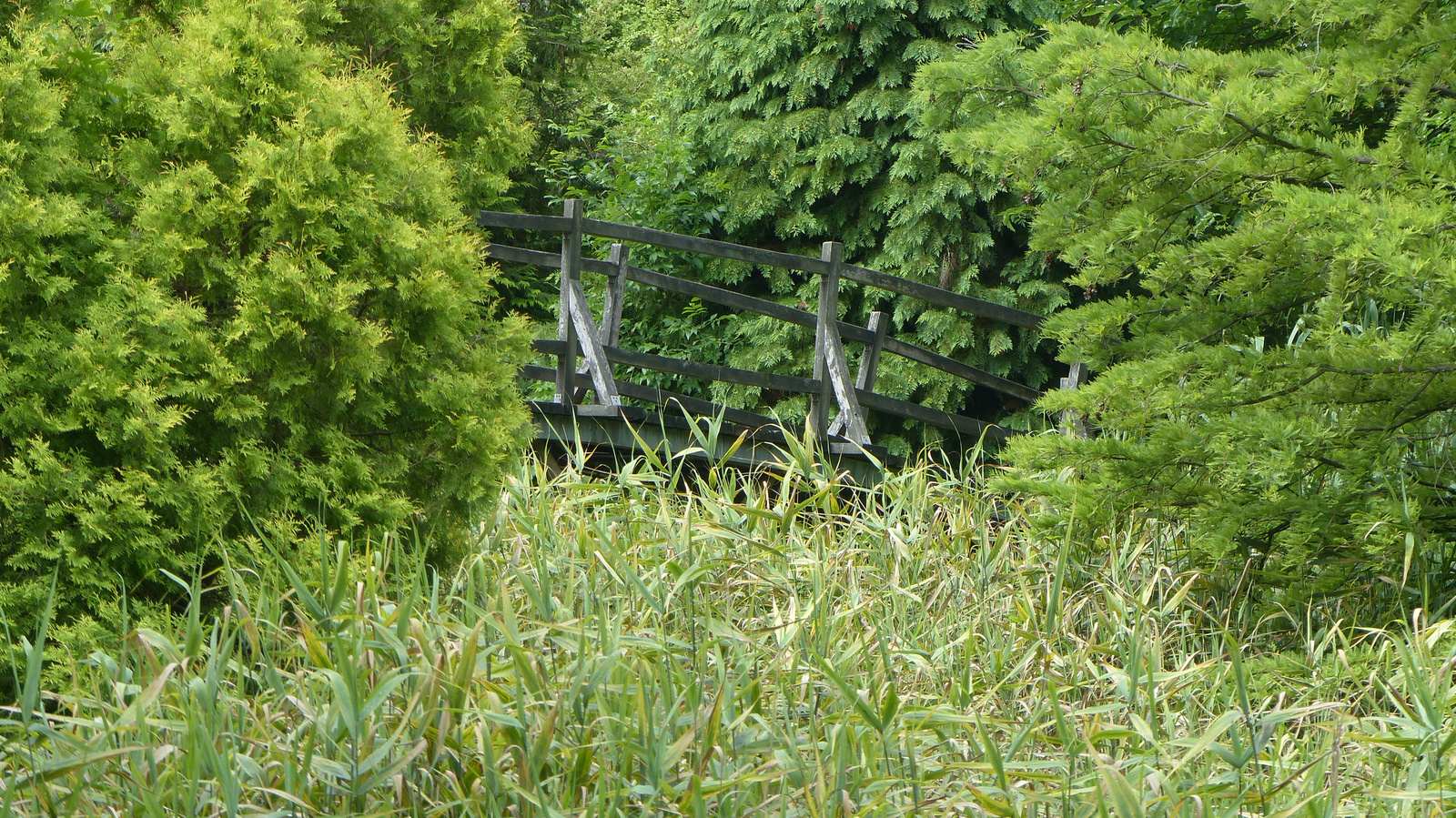 Erdőtelek, Arborétum, SzG3