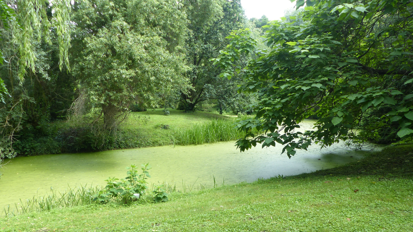 Erdőtelek, Arborétum, SzG3