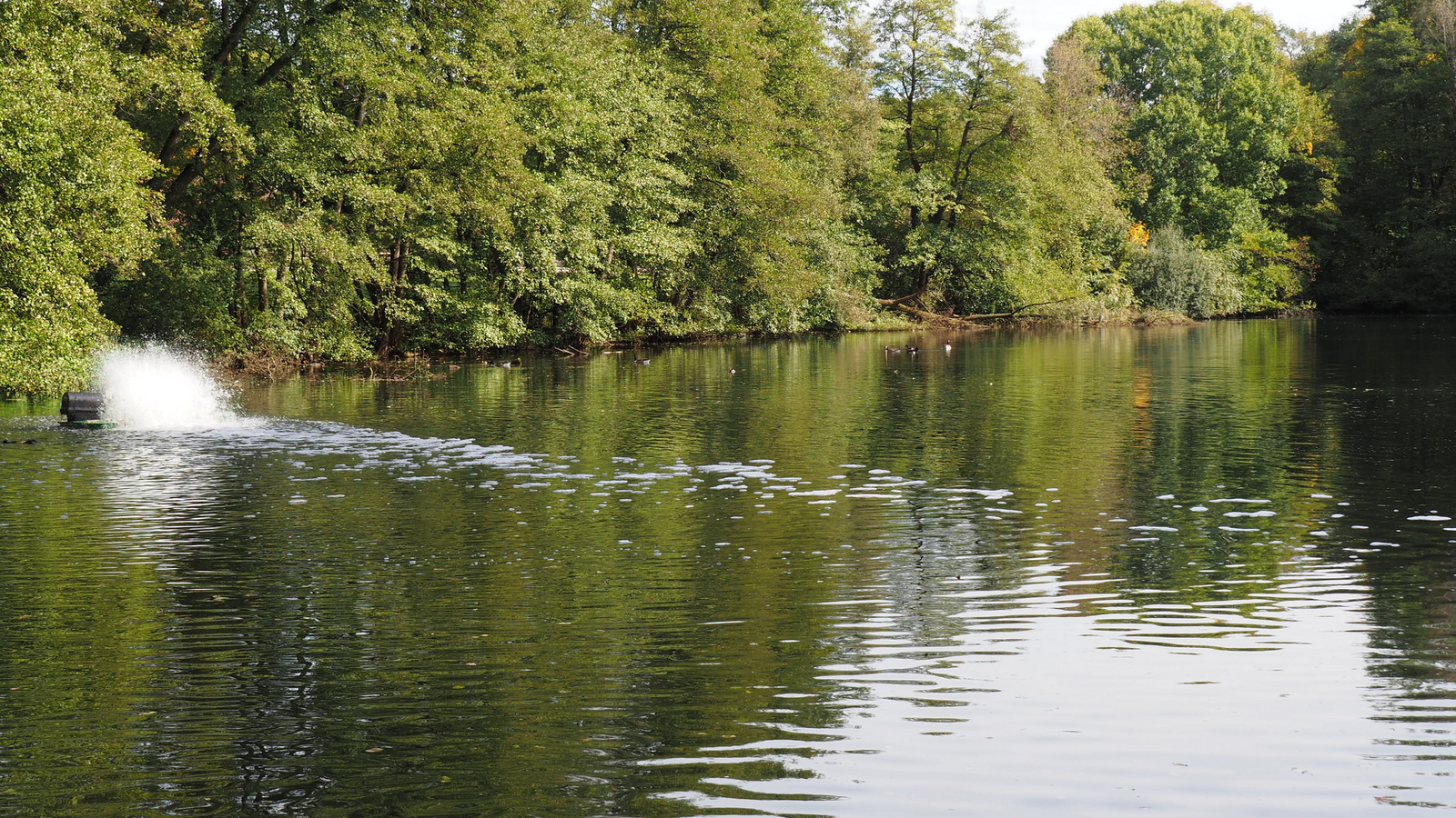 Tiergarten Nürnberg, SzG3