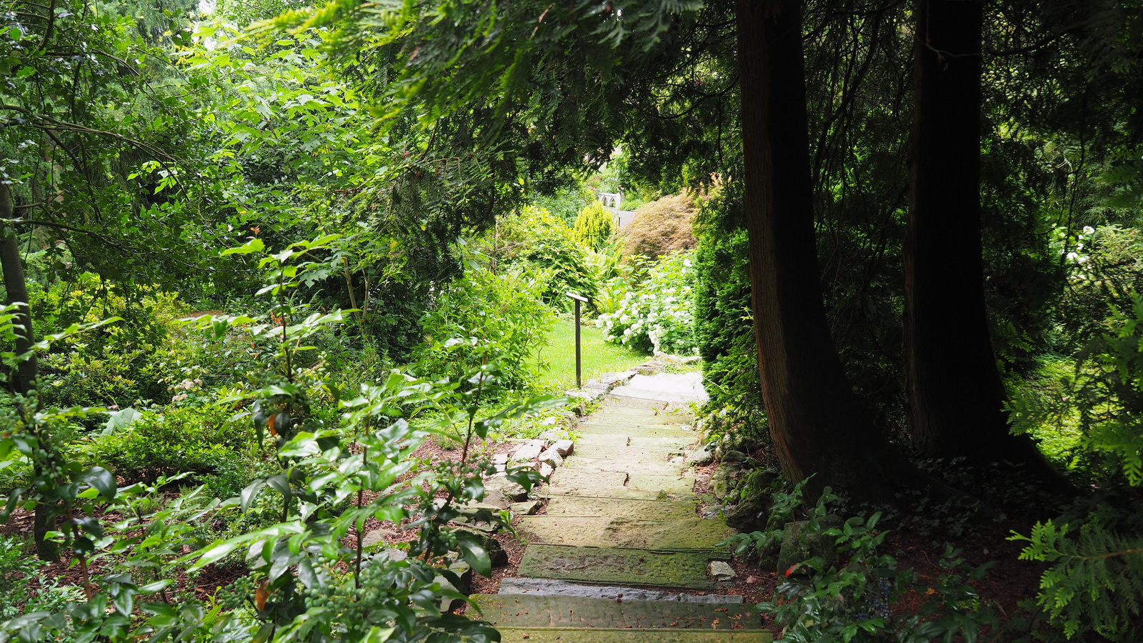 Bílá Lhota-Chudobín, Arboretum Bílá Lhota, SzG3