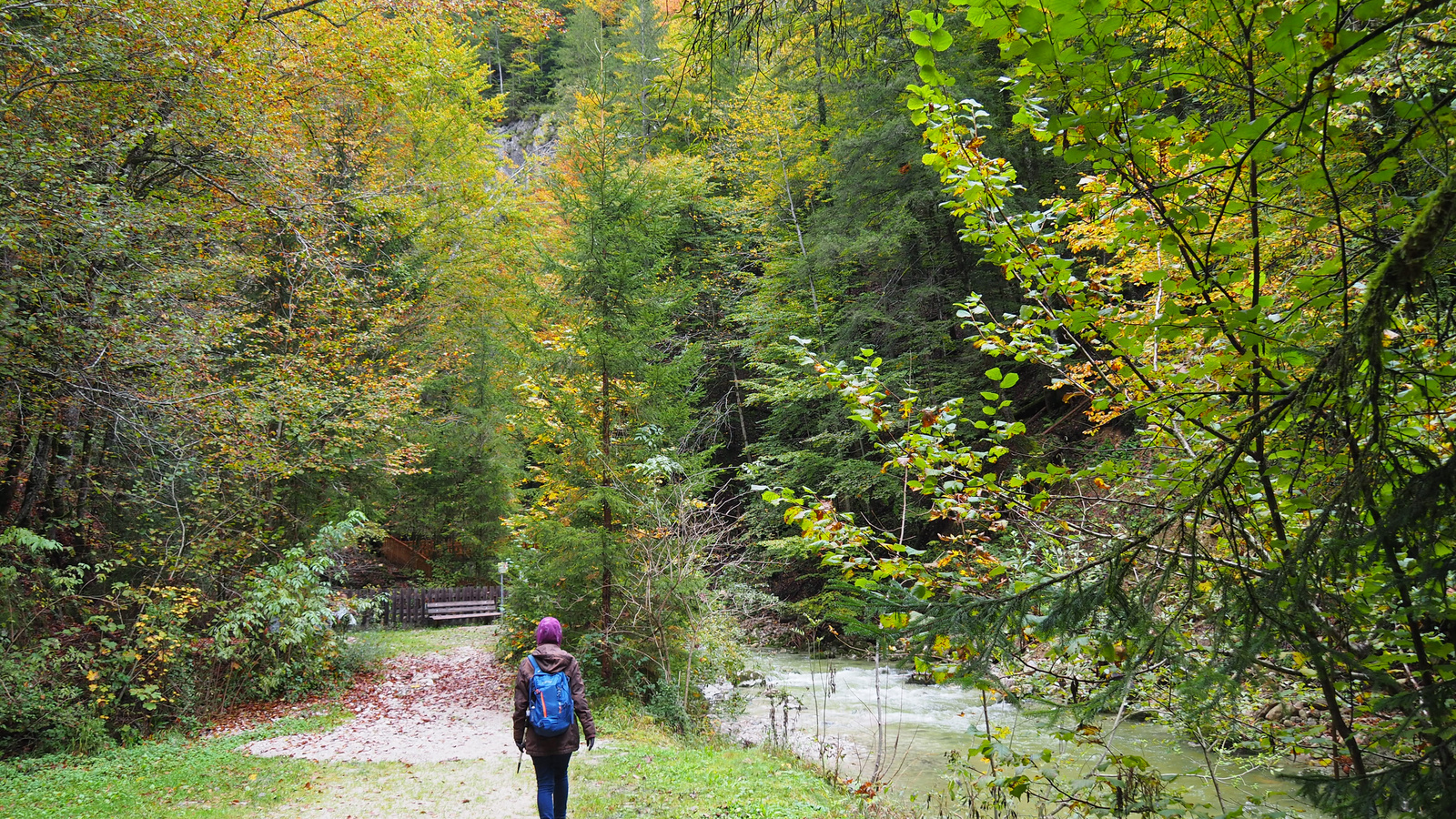 Gams bei Hieflau, Nothklamm, SzG3