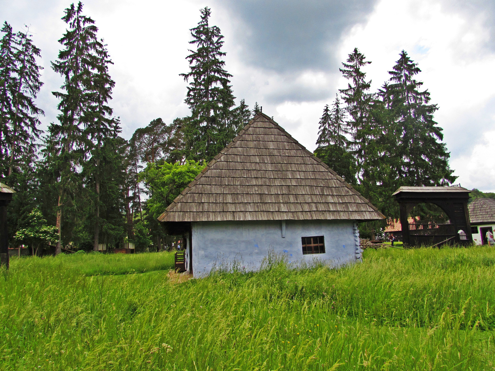 fenyők között