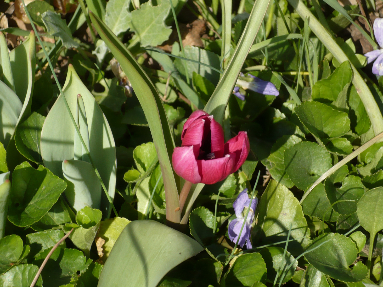 Budai Arborétum 2024. márc. 4.