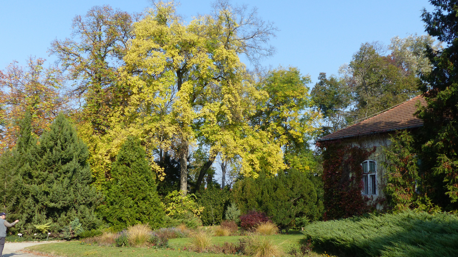 Vácrátót, az Arborétum ősszel, SzG3