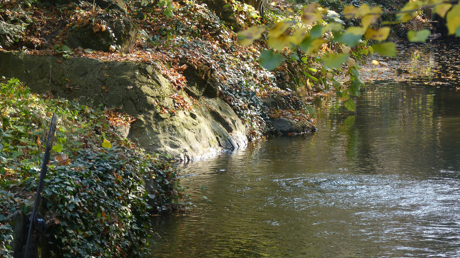 Vácrátót, az Arborétum ősszel, SzG3